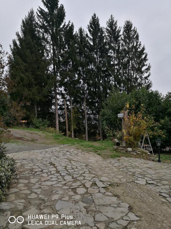 Agriturismo Davide Bossolasco Kültér fotó